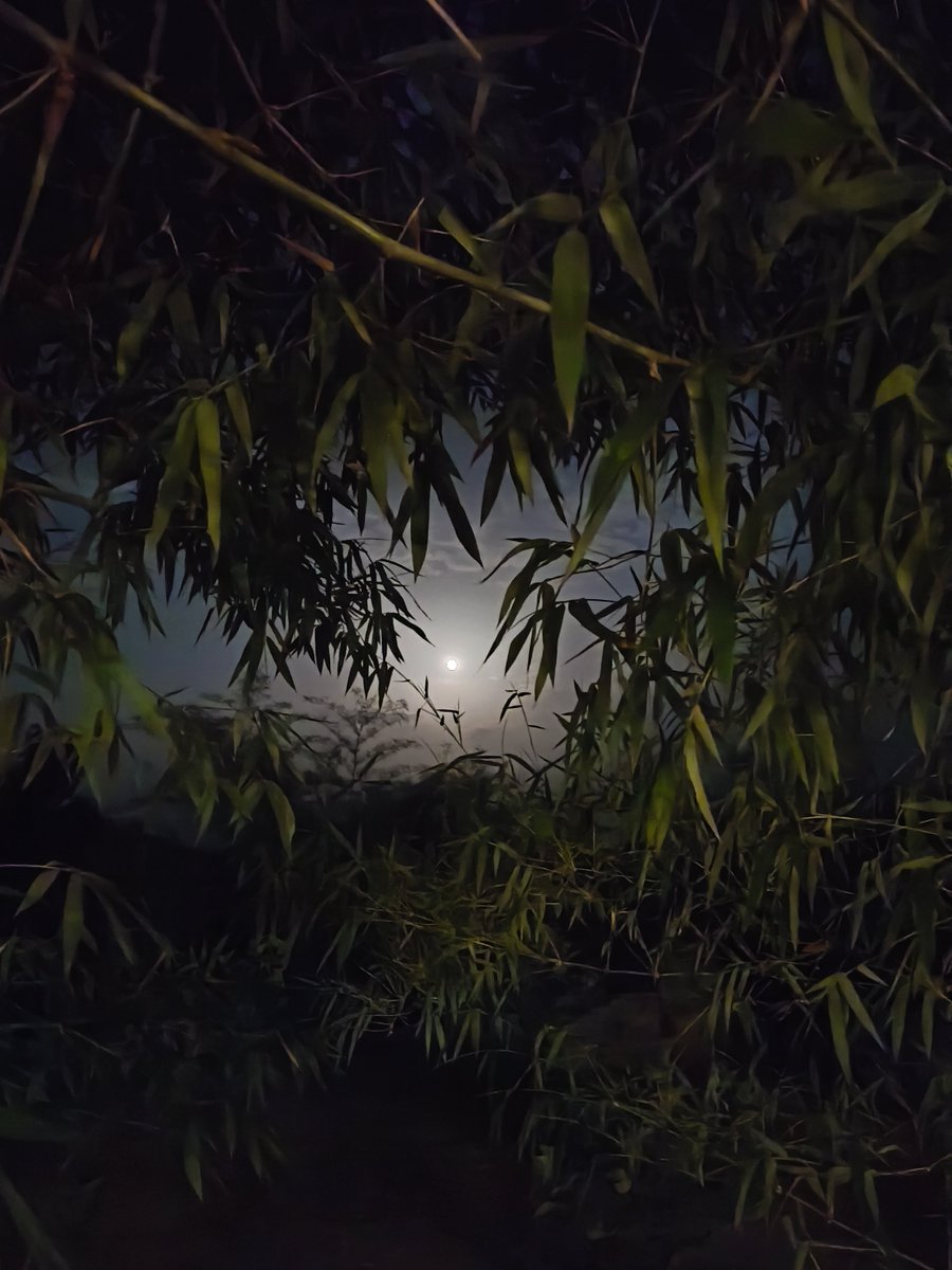 DeadpoolSA's tweet photo. Saste phone se jesi bi photo le sakta tha le li 🥹🙌
#eveningMoon https://t.co/j5V38wly7B