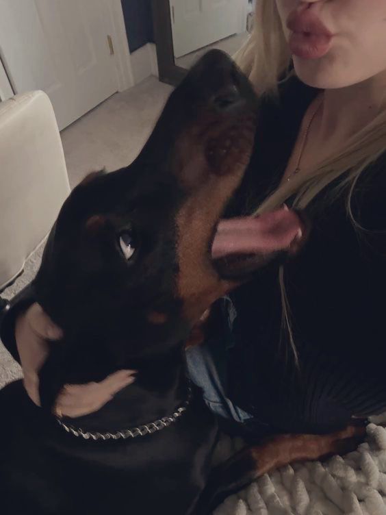 SandraK52422's tweet photo. New K9 Release available send me a private message on telegram for menu and price serious buyers only 🥵🐶🐶
👇👇👇
https://t.co/NqFBXyesj6
#  #beastiality #dogknotting #Fetish #NSFW #doglovers #cum #AdultContents #zoophile https://t.co/9kuahn4Cow