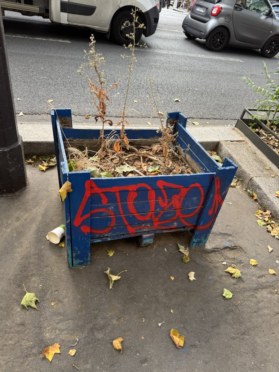revienparis's tweet photo. Ça compte comme une vegetalisation ds le plan de lutte contre le réchauffement climatique? https://t.co/TOYXhsSmGi
