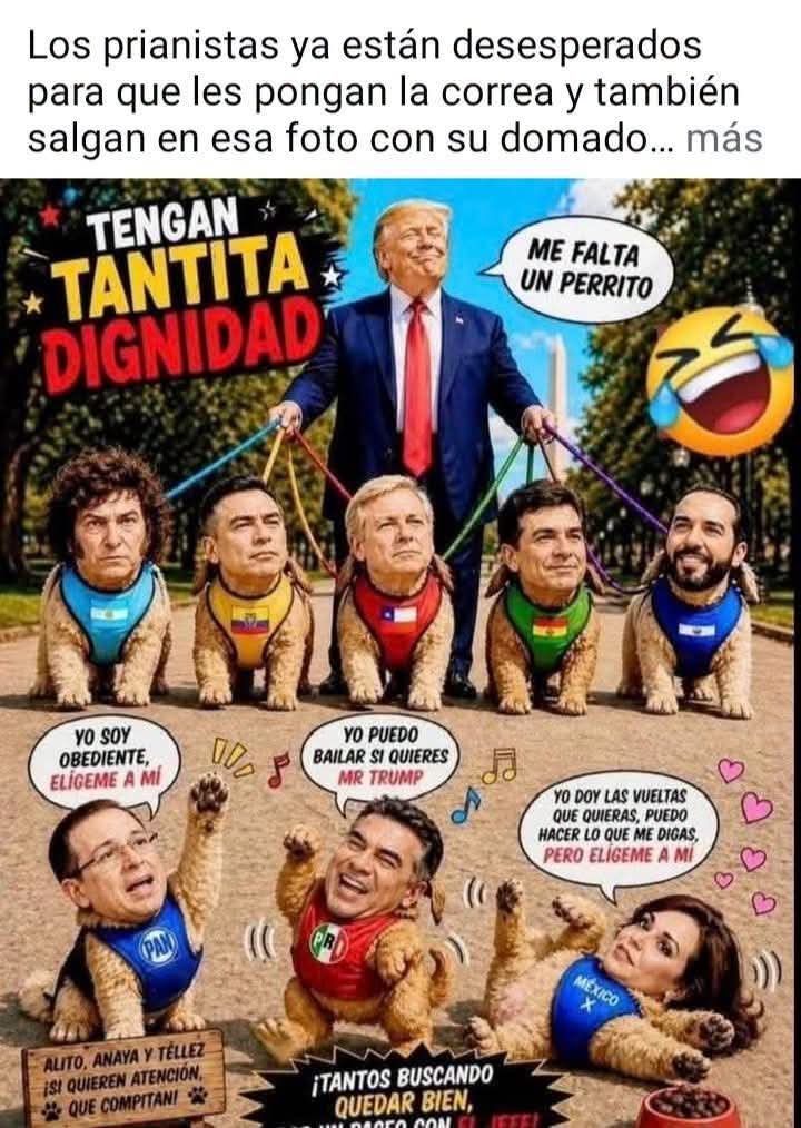NavamahM's tweet photo. #LaPerritaDeTrump https://t.co/lzCYDQbIBq