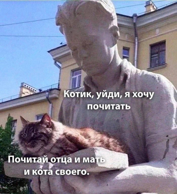 aperigator3's tweet photo. https://t.co/W26DF6H8Lz
