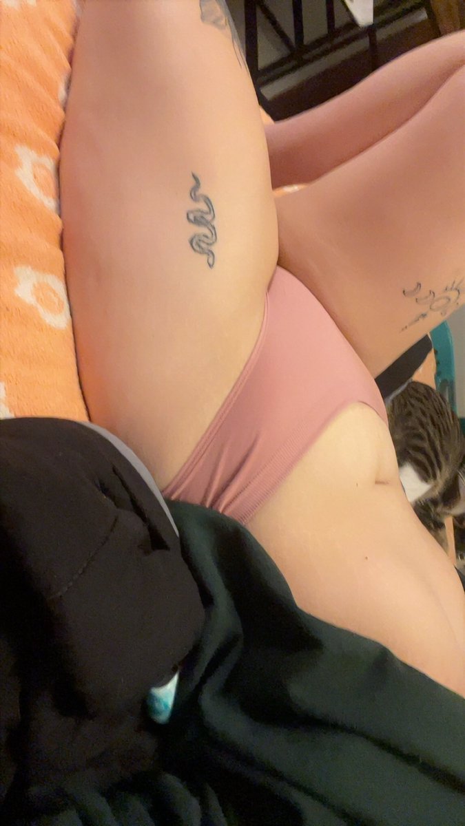 elenas_7's tweet photo. cozy morning peep the cat https://t.co/KncGtXVZyF