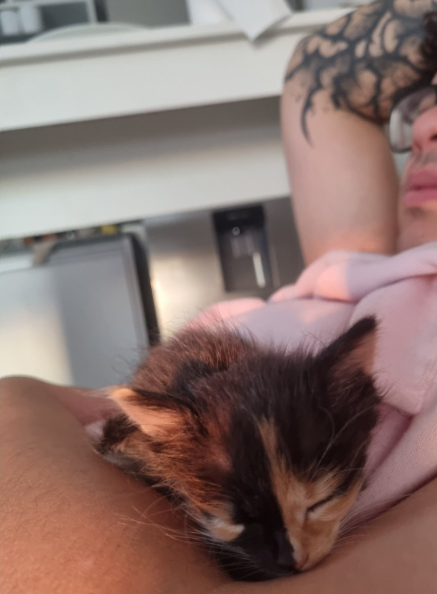 skygogh_'s tweet photo. Somos papás ♡ https://t.co/Oq4BQWtu6r