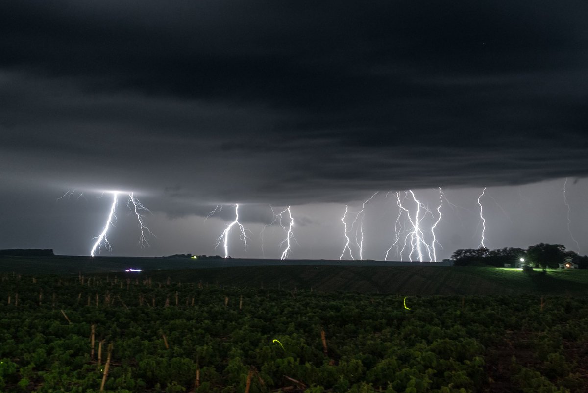 WickyDubs2's tweet photo. Last night an incredible CG barrage with fireflies lit up near Spalding Nebraska. Could not believe what was happening. https://t.co/edDPVpo0jY