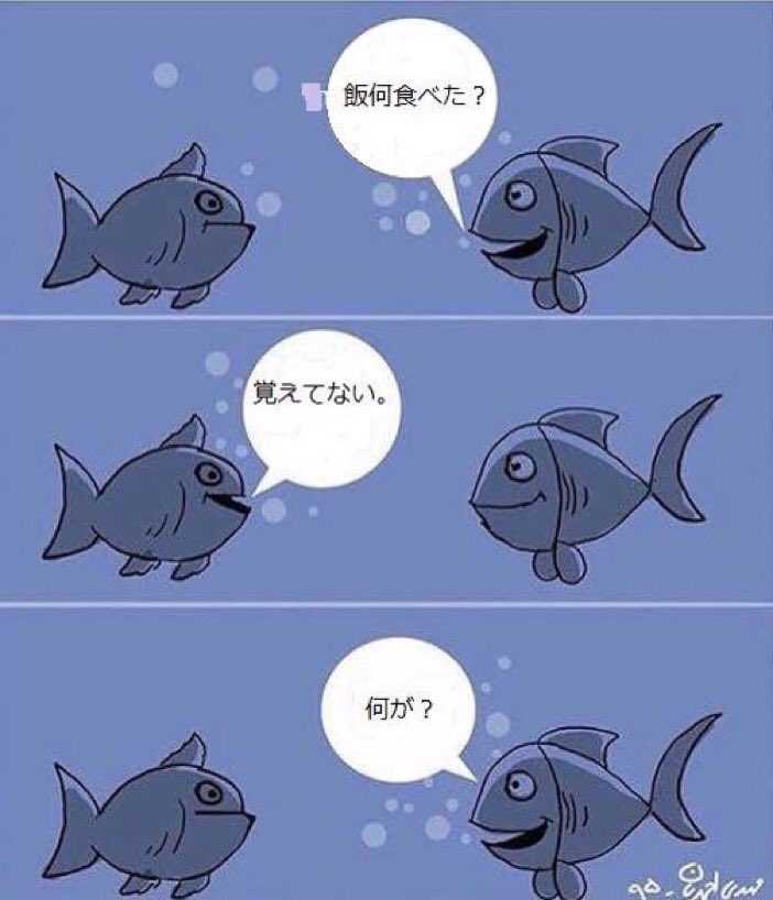 shell_pocha's tweet photo. ヨルくんに似てる魚🐟 https://t.co/jrOiax2Wgx