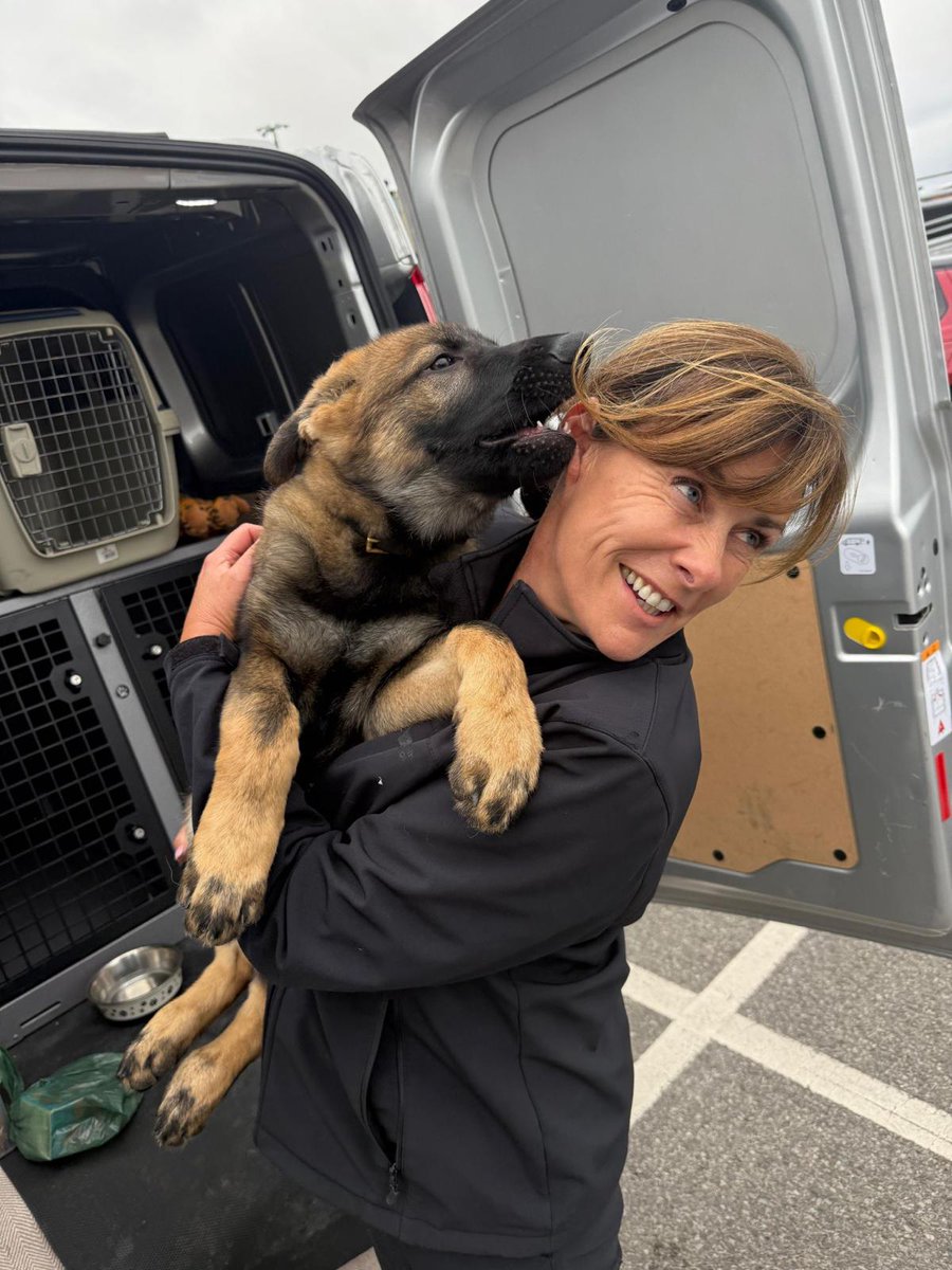 MerPolDogs's tweet photo. 🤩 Sue Hilton is one of the longest serving police officers in our dog section.

Today, after 27 years in the dog section &amp; 31 years at Merseyside Police, she is retiring from the force.

Sue is described as a “privilege to work alongside and be trained by”.  Best of luck 💙 🐶 https://t.co/iHgSiWmPDN