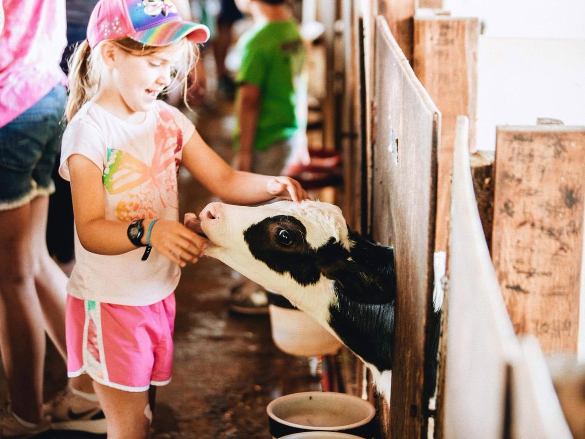 VisitOld96SC's tweet photo. The Old 96 District has no shortage of hands-on, educational experiences worth the drive.

A few favorites include:
👉 Battle of Musgrove Mill State Historic Site
👉 Hickory Hill Milk Farm Tours
👉 Railroad Historical Center

Find all 11 field trips at https://t.co/SNMpGCofhx https://t.co/u0UwFBlAFt
