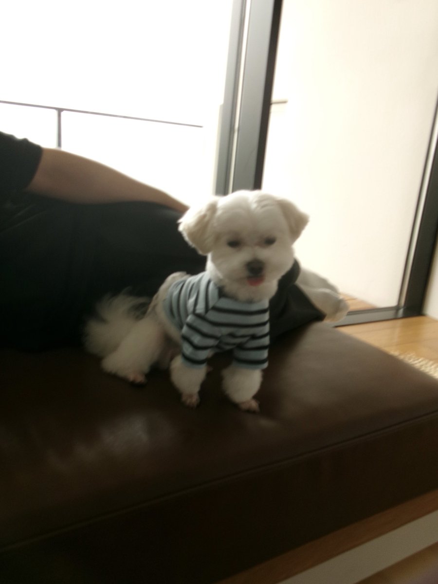 yoheigima's tweet photo. 嵐を呼ぶ栄光のヤキニクロード聖地 https://t.co/2c3hbSJqmi