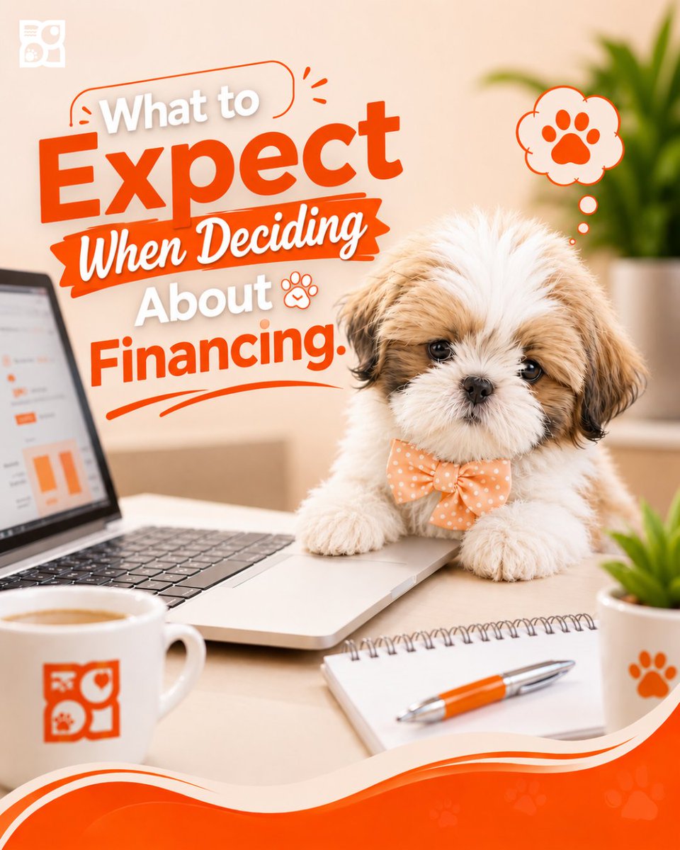 PetlandLC's tweet photo. Questions about puppy financing? We break it down simply. 🐾 https://t.co/JCBZ3DezZa

#PetlandFinancing https://t.co/O75Rd2X25N