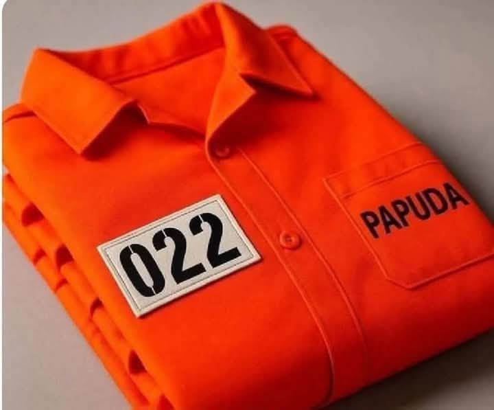 ElcioTui's tweet photo. @nikolas_dm Xandão salvou o Brasil...rss 
JUÍZO NIKOLINHO https://t.co/W36c752izO
