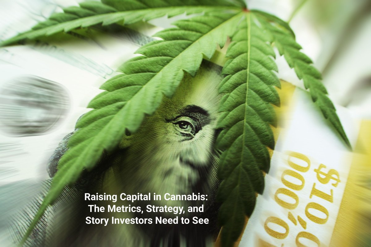 MaxQTech's tweet photo. Raising #Capital in #Cannabis: The Metrics, Strategy, and Story #Investors Need to See -  https://t.co/wnU0z4mrLH https://t.co/yph2v1Q4JB