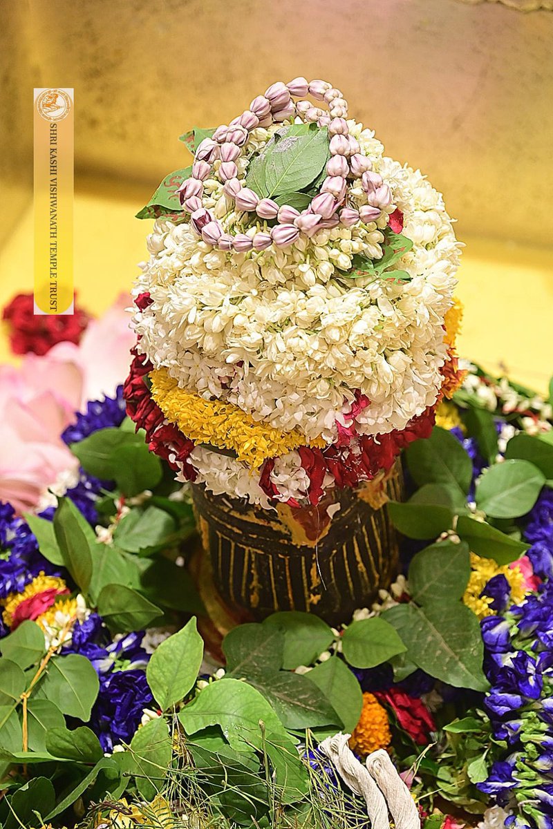 ShriVishwanath's tweet photo. श्री काशी विश्वनाथ जी की सप्तऋषि आरती I
#kashivishwanath #kashi #hindu #sanatandharmaहमारे https://t.co/engL9wT05h