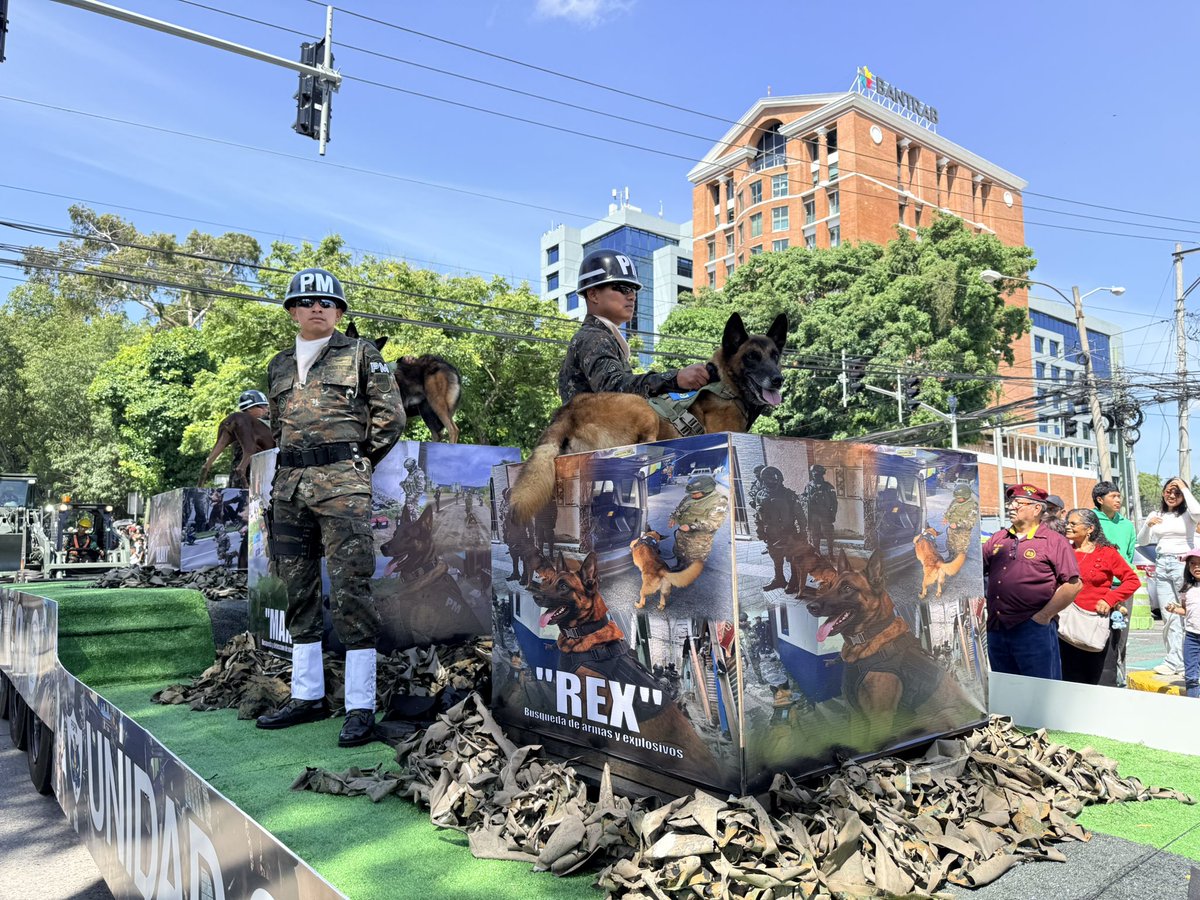 Ejercito_GT's tweet photo. 155 años de historia, servicio y compromiso con Guatemala 🇬🇹

La Unidad Canina del Ejército de Guatemala hace su paso en el #DesfileMilitar, demostrando la disciplina, entrenamiento y capacidad de sus binomios caninos, preparados para apoyar en misiones de seguridad, búsqueda, localización y otras operaciones especializadas al servicio de la nación.

En el marco de la conmemoración del 155.º Aniversario de la Gesta Revolucionaria de 1871 y Día del Ejército de Guatemala, estos equipos reflejan el profesionalismo y compromiso de quienes trabajan por la seguridad y el bienestar de todos los guatemaltecos.

#DíaDelEjército🇬🇹 #EjércitoGT #155Aniversario #Desfile