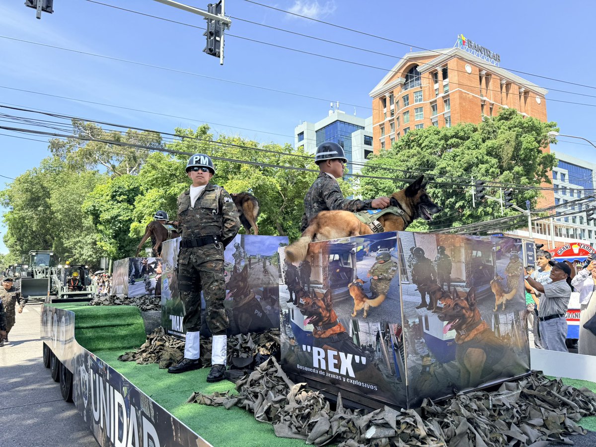 Ejercito_GT's tweet photo. 155 años de historia, servicio y compromiso con Guatemala 🇬🇹

La Unidad Canina del Ejército de Guatemala hace su paso en el #DesfileMilitar, demostrando la disciplina, entrenamiento y capacidad de sus binomios caninos, preparados para apoyar en misiones de seguridad, búsqueda, localización y otras operaciones especializadas al servicio de la nación.

En el marco de la conmemoración del 155.º Aniversario de la Gesta Revolucionaria de 1871 y Día del Ejército de Guatemala, estos equipos reflejan el profesionalismo y compromiso de quienes trabajan por la seguridad y el bienestar de todos los guatemaltecos.

#DíaDelEjército🇬🇹 #EjércitoGT #155Aniversario #Desfile