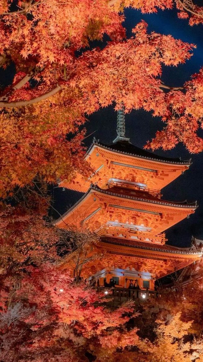 pictures033's tweet photo. Kyoto, Japan 🇯🇵 https://t.co/NO9mL09mpa