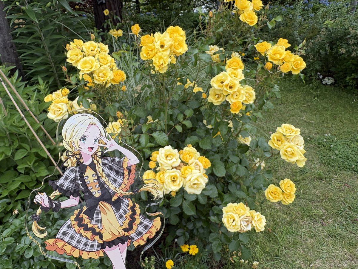 MBW_come373's tweet photo. #三俣チョコ誕生祭2026
#三俣チョコ生誕祭2026

ハピハピバースデーおめでとう🎊🎊🎊 https://t.co/cWZnJ0SpGk