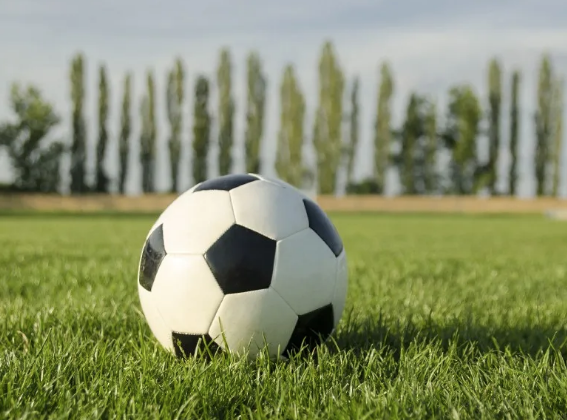 TSN_TheStandard's tweet photo. Mohave College soccer coach Camilo Valencia is enjoying the World Cup soccer tournament. Valencia traveled to Guadalajara, Mexico to see Colombia edge the Congo one-nil on June 23.

 https://t.co/QRHXOJbCYe https://t.co/WTFO8lWyoV