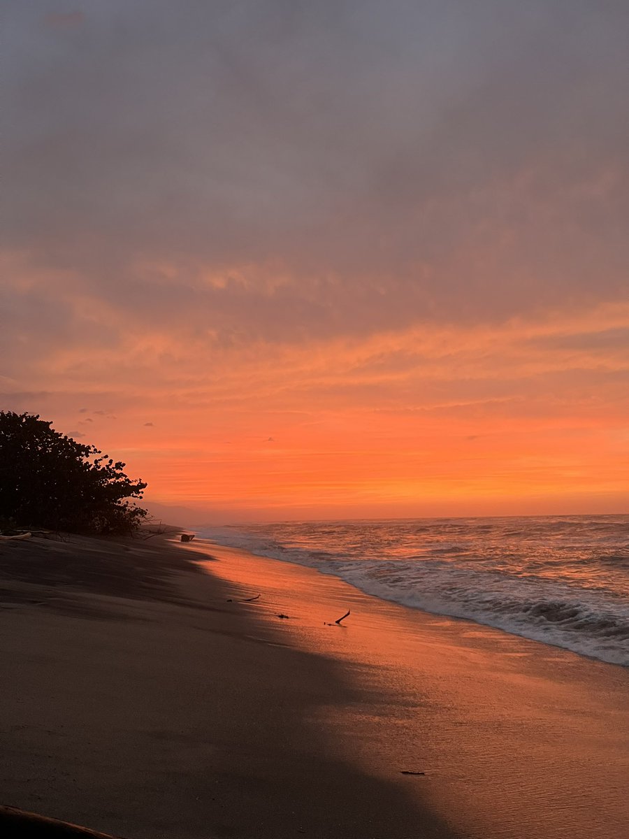HeidyAcu's tweet photo. Mi colección de atardeceres ! https://t.co/tzL7hu13yv