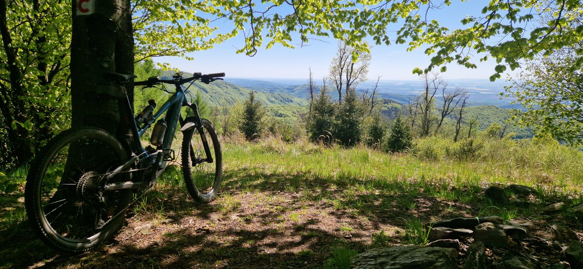 tea_hijack's tweet photo. My 4 favorite pictures from my #mtb trips in 2026 so far. https://t.co/NV2ZEWB3w7