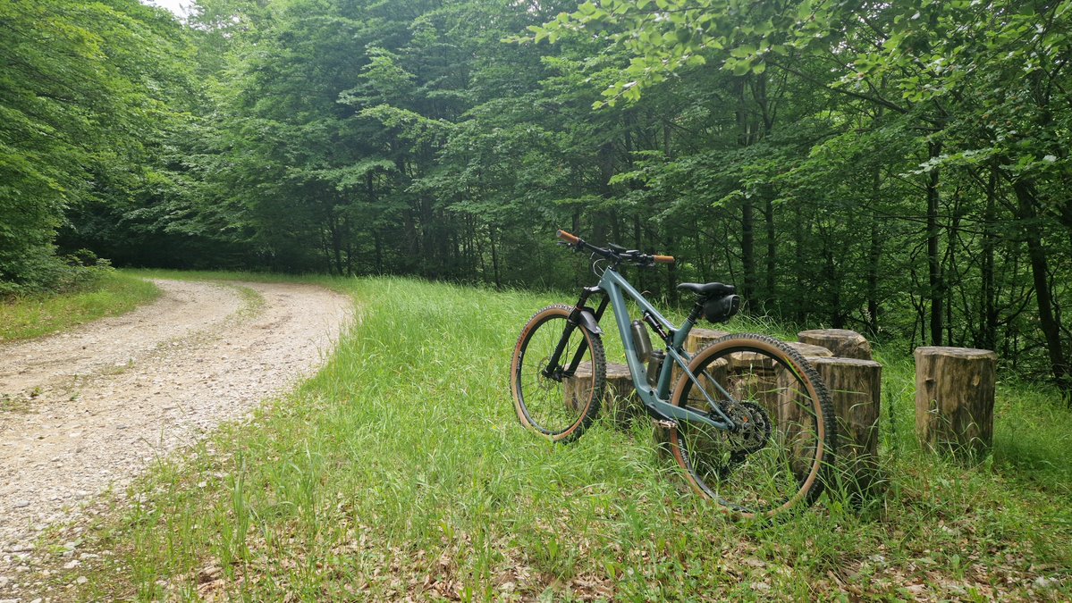 tea_hijack's tweet photo. My 4 favorite pictures from my #mtb trips in 2026 so far. https://t.co/NV2ZEWB3w7