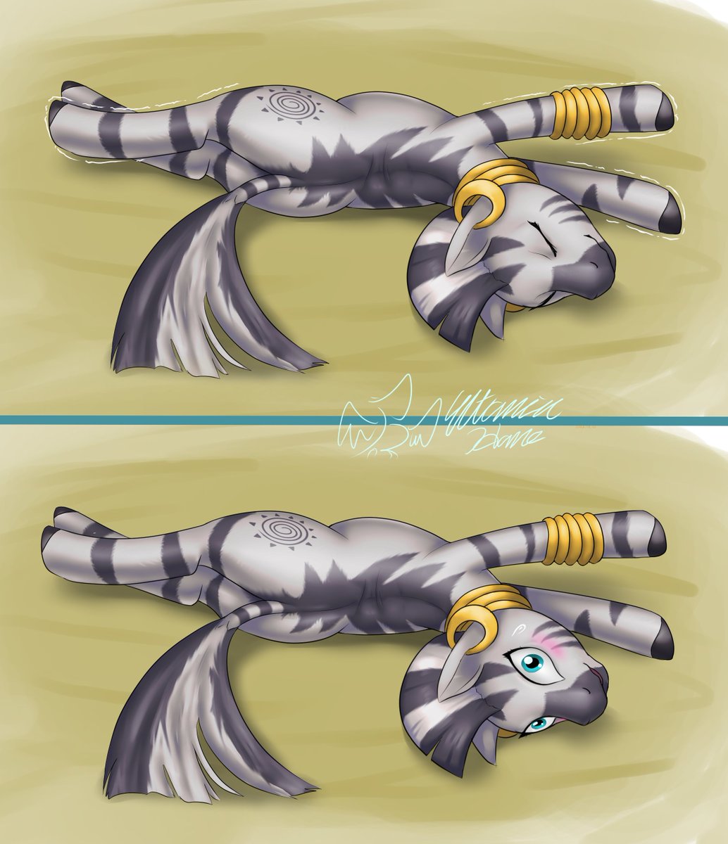 Sethisto's tweet photo. Zeebra stretches 

https://t.co/44HUYX2QIu https://t.co/djLN8NRfxm