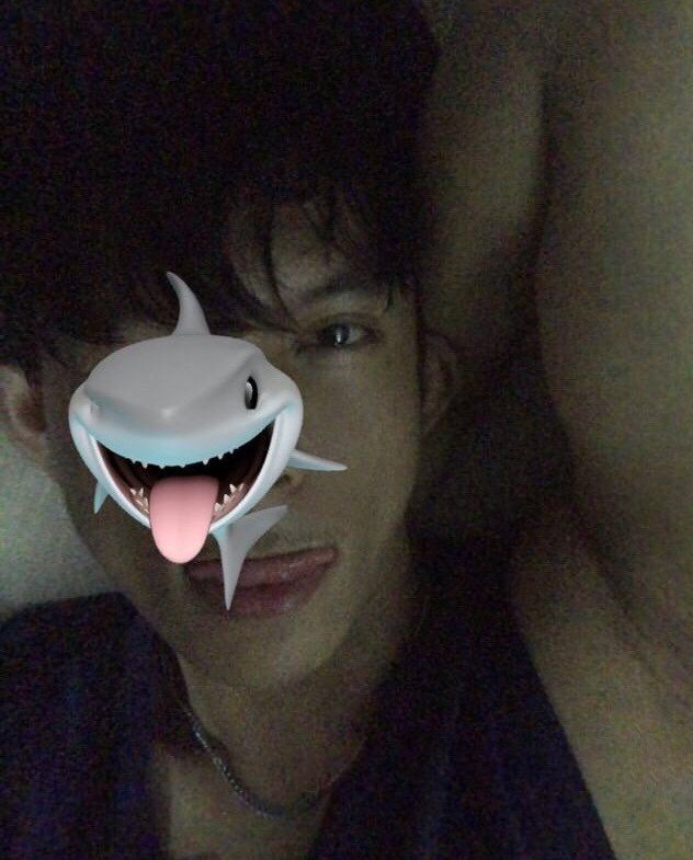 razumixs's tweet photo. sharkmemoji 🦈 https://t.co/g98tS8Kqhu