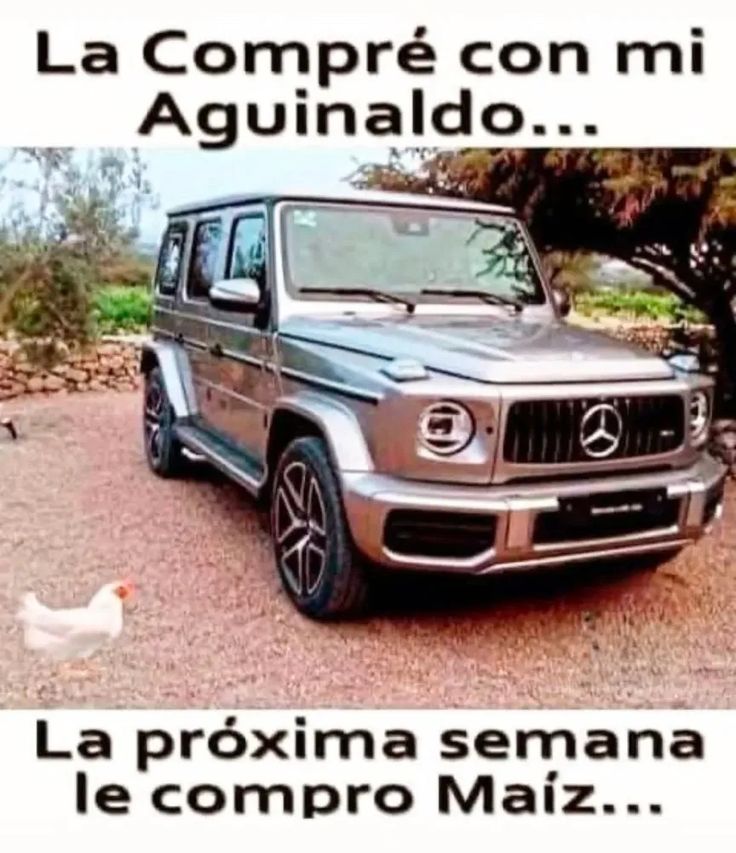 IonnaNorma's tweet photo. NO ME ENVIDIEN.....🤭🤭 https://t.co/6Vz18y9Aqd