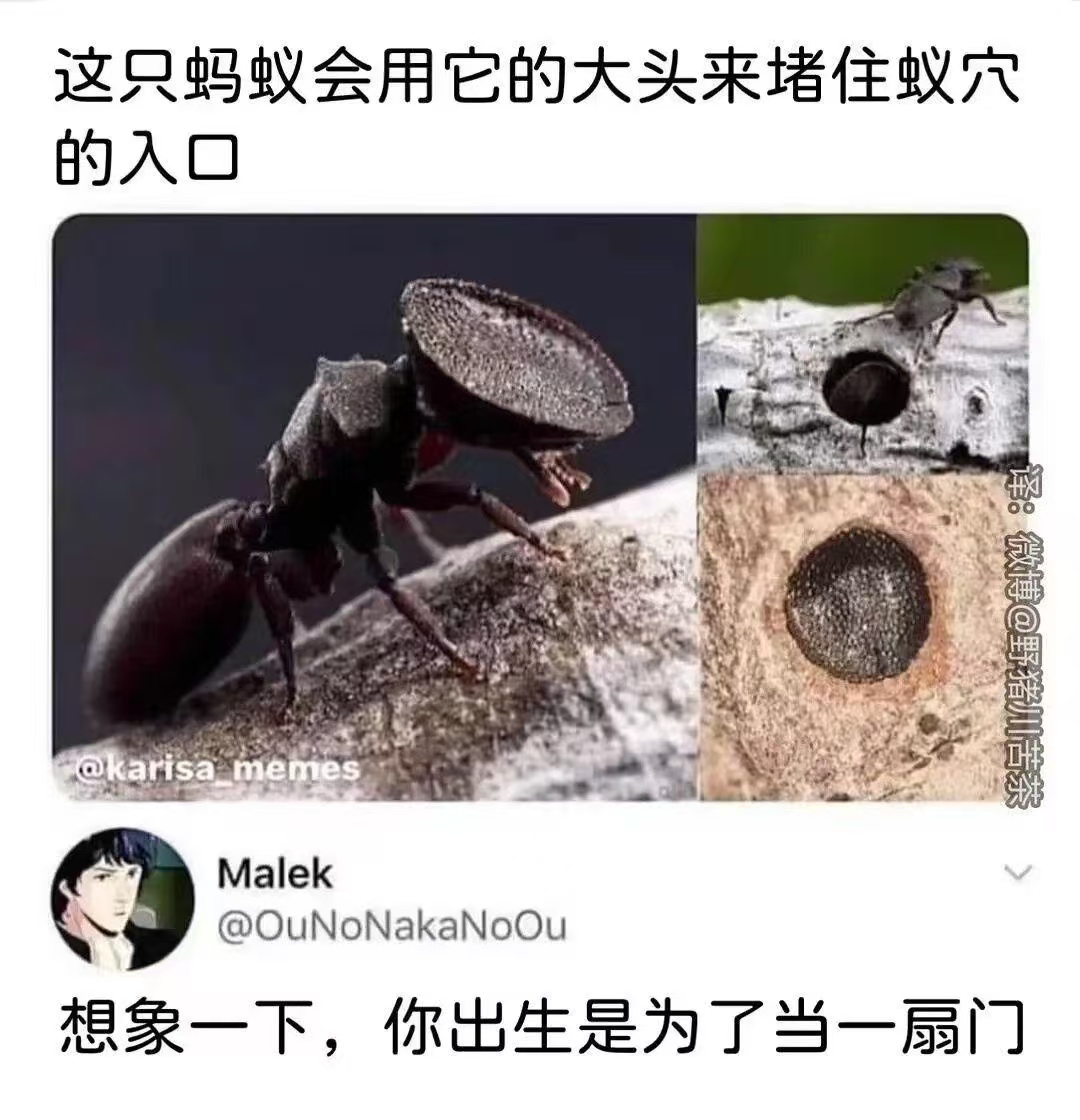Joruno tweet media