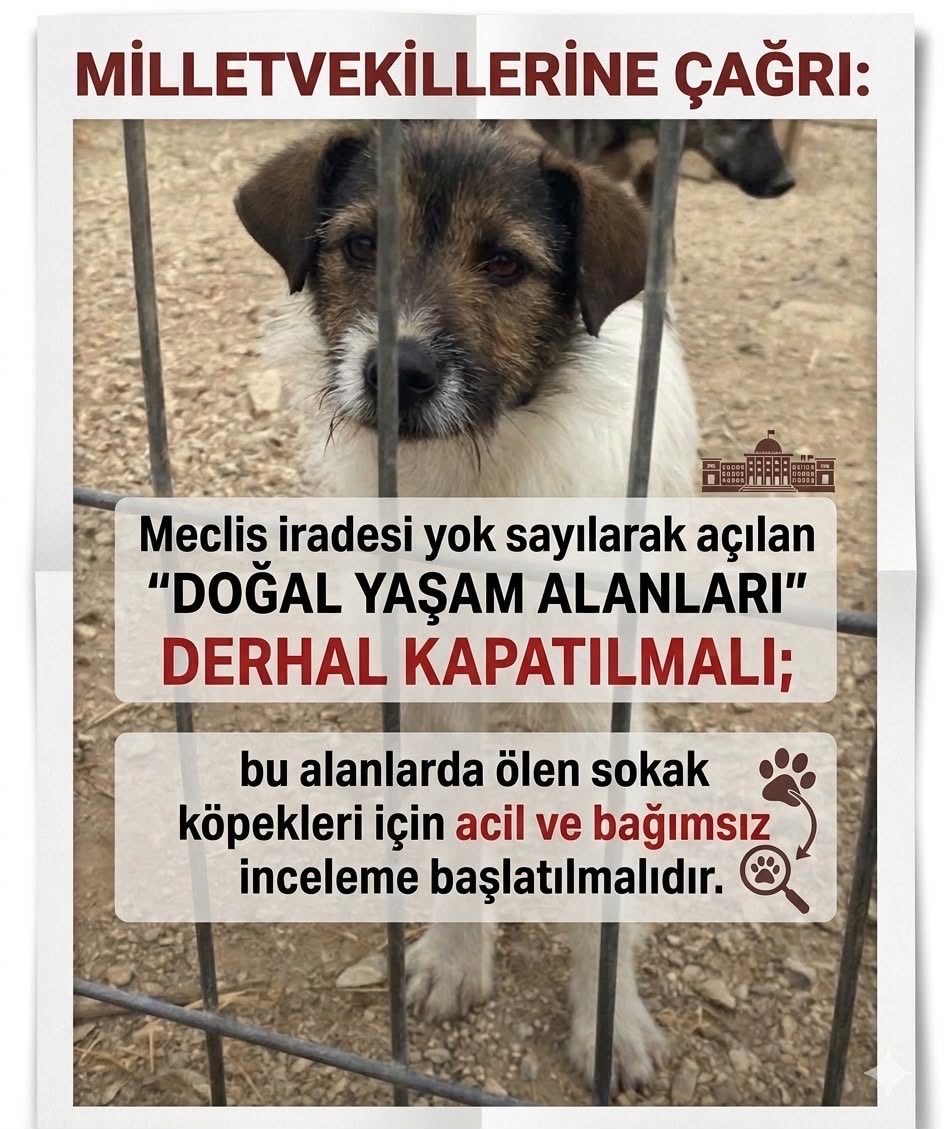 hhplatformu's tweet photo. 📣Milletvekillerine Çağrı: Meclis iradesi yok sayılarak açılan “doğal yaşam alanları” derhal kapatılmalı ve bu alanlarda ölen sokak köpekleri için inceleme başlatılmalıdır!

Bu dilekçeyi göndererek ve dilekçe kampanyasını paylaşarak bana destek olur musun?🙏 

https://t.co/TSJn6sTjte