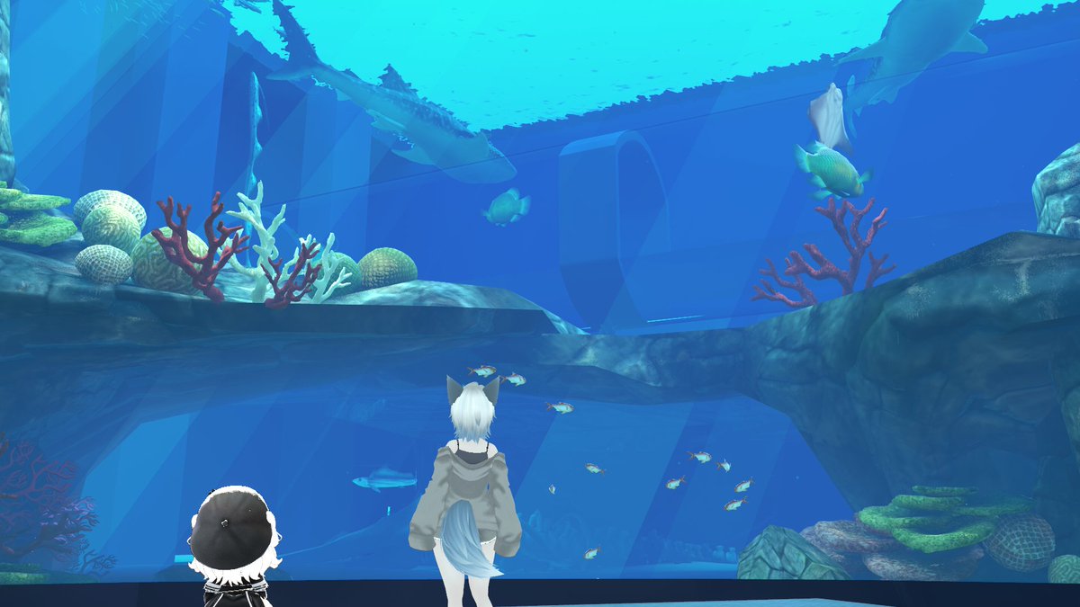 u9o0e's tweet photo. 水族館巡りー次はどこかな https://t.co/pADtQAexVP