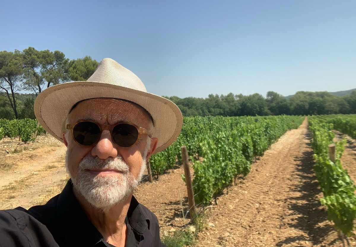 JMCambaceres's tweet photo. Les vignes souffrent de la canicule. Heureusement la moitié des parcelles du #GFAmasMathieu ont l’arrosage goutte à goutte. De plus, il a fait une averse hier autour du #PicSaintLoup et entre #Sommières et @Quissac30260. Malgré la crise du secteur viticole: «nous maintiendrons». https://t.co/VPxN9AWunm