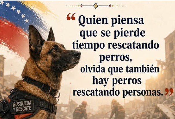 EPAD65's tweet photo. @robertoortizu https://t.co/pwnbb6zYyC