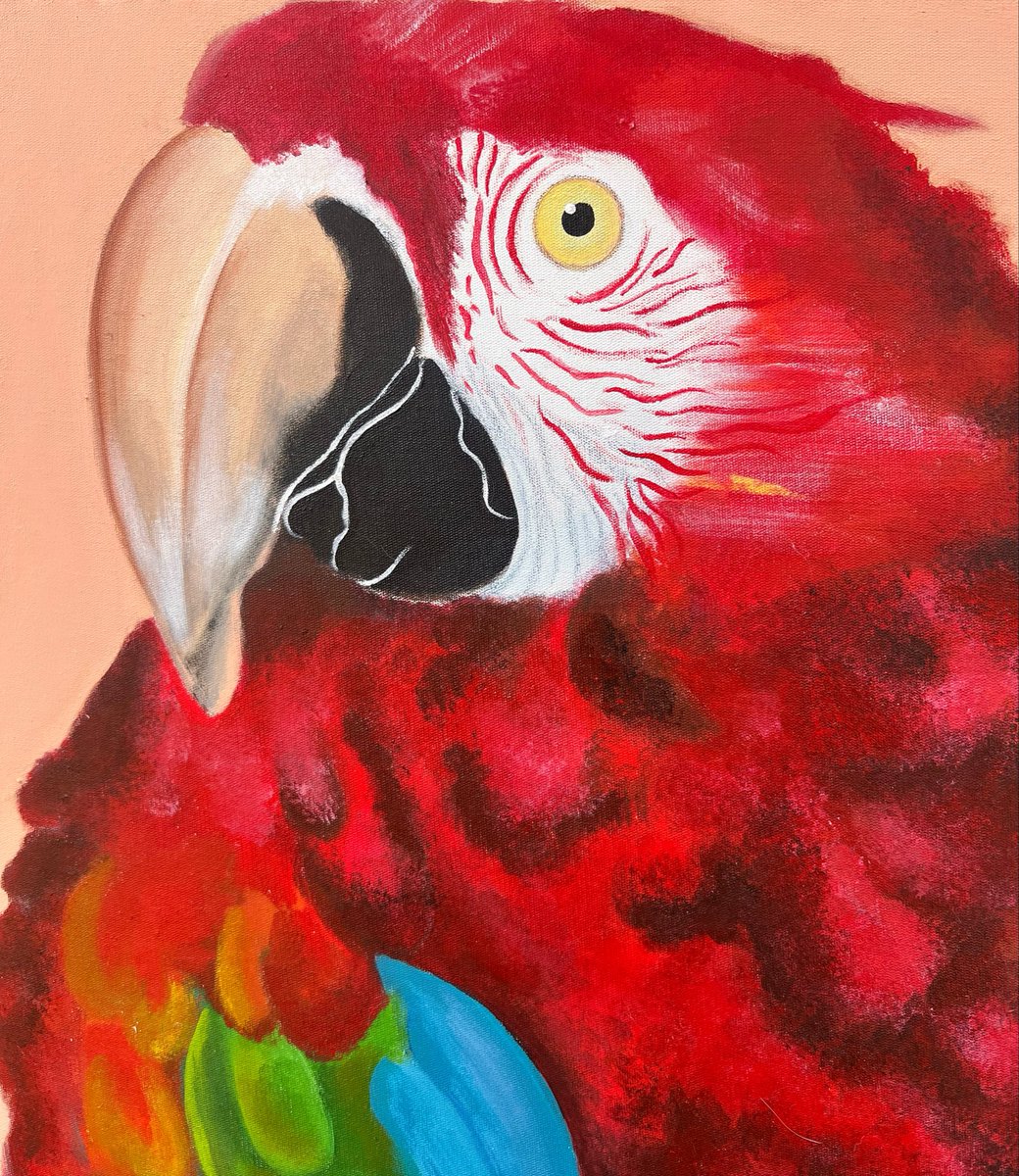 bginfz's tweet photo. Tem interesse em ter uma arte minha? Estou aceitando encomendas durante essa semana 🥰✨
Entrego em Campo Grande até dia 08/07 e em São Paulo a partir de 10/07 https://t.co/8I8lgx898C