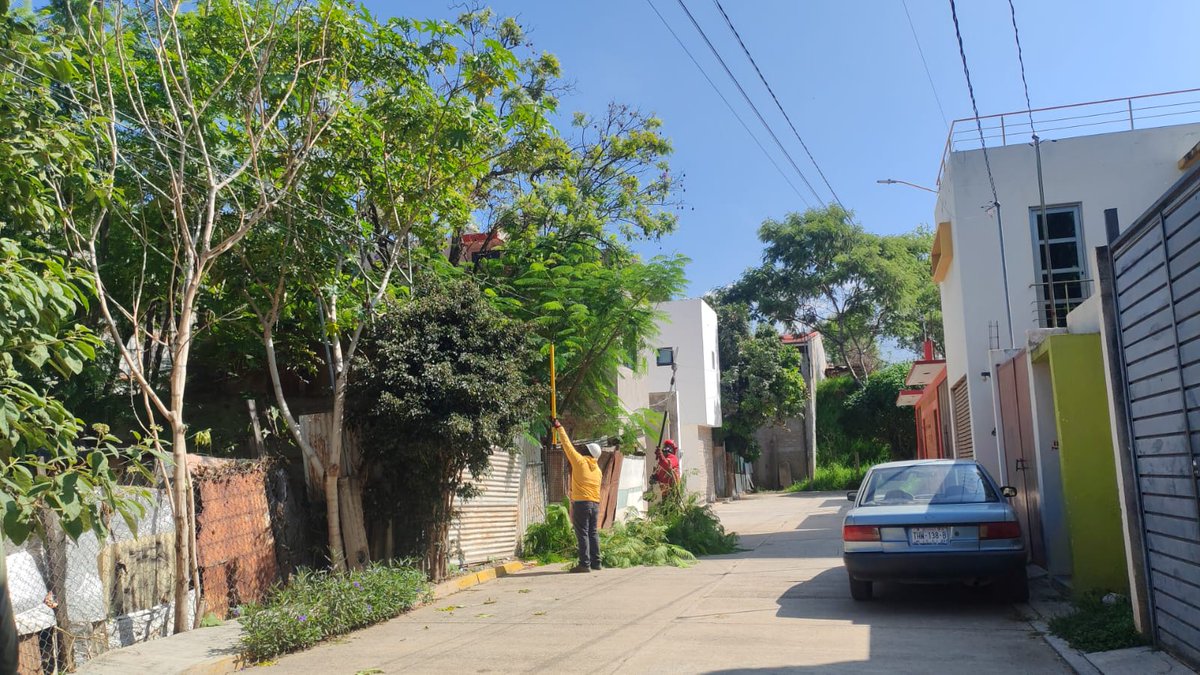SantaLucia_Ayto's tweet photo. Por instrucción del Presidente Municipal, @JC_GMarquez, personal de Protección Civil Mpal realiza trabajos de poda preventiva de arbolado en el Sector Hornos, como parte de los compromisos derivados de los recorridos del programa municipal “Santa Lucía Segura e Iluminada”. https://t.co/wcxwMFASpU