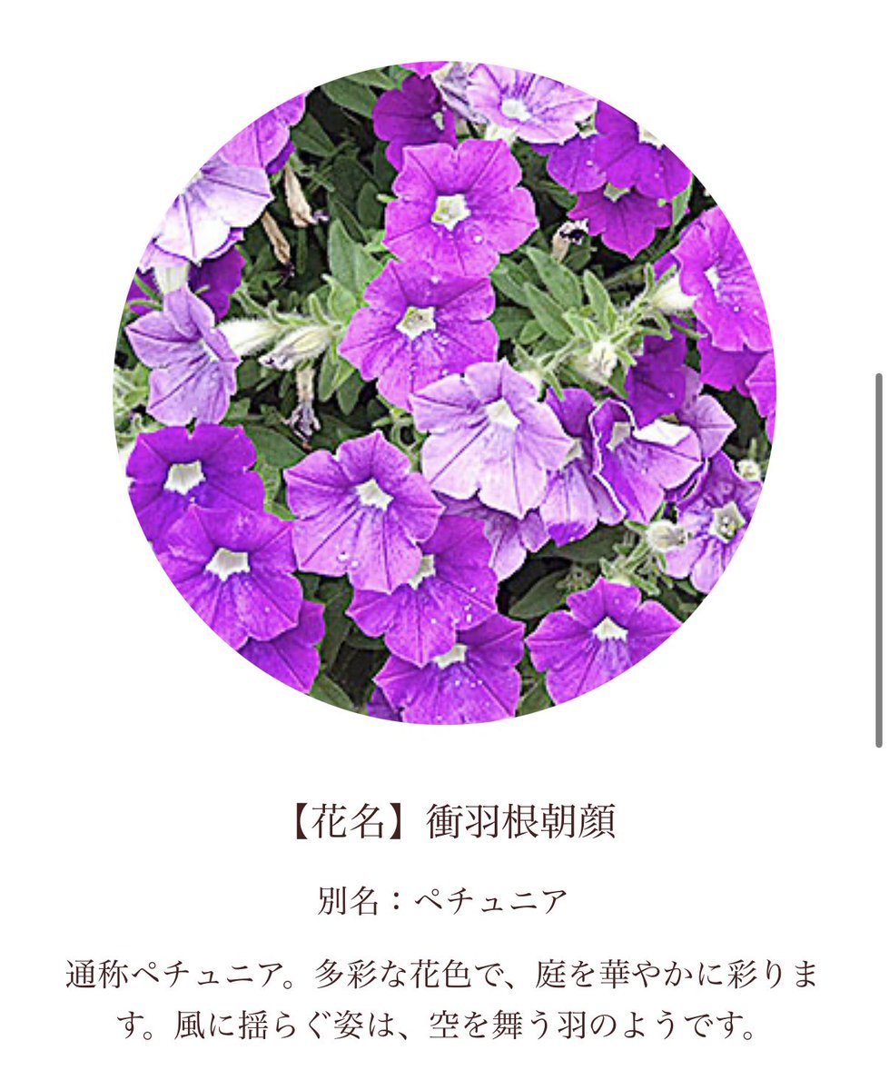 zenchan8's tweet photo. @Kinoppi_ おはようございます😊
ありがとうございます🙏
はい、今日も笑顔で明るく元気に安全にいきましょう🙋‍♂️ https://t.co/zkzysxXx0o