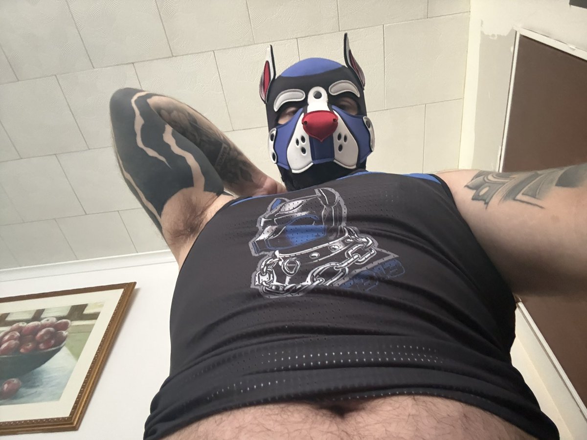 Pup Cain tweet media