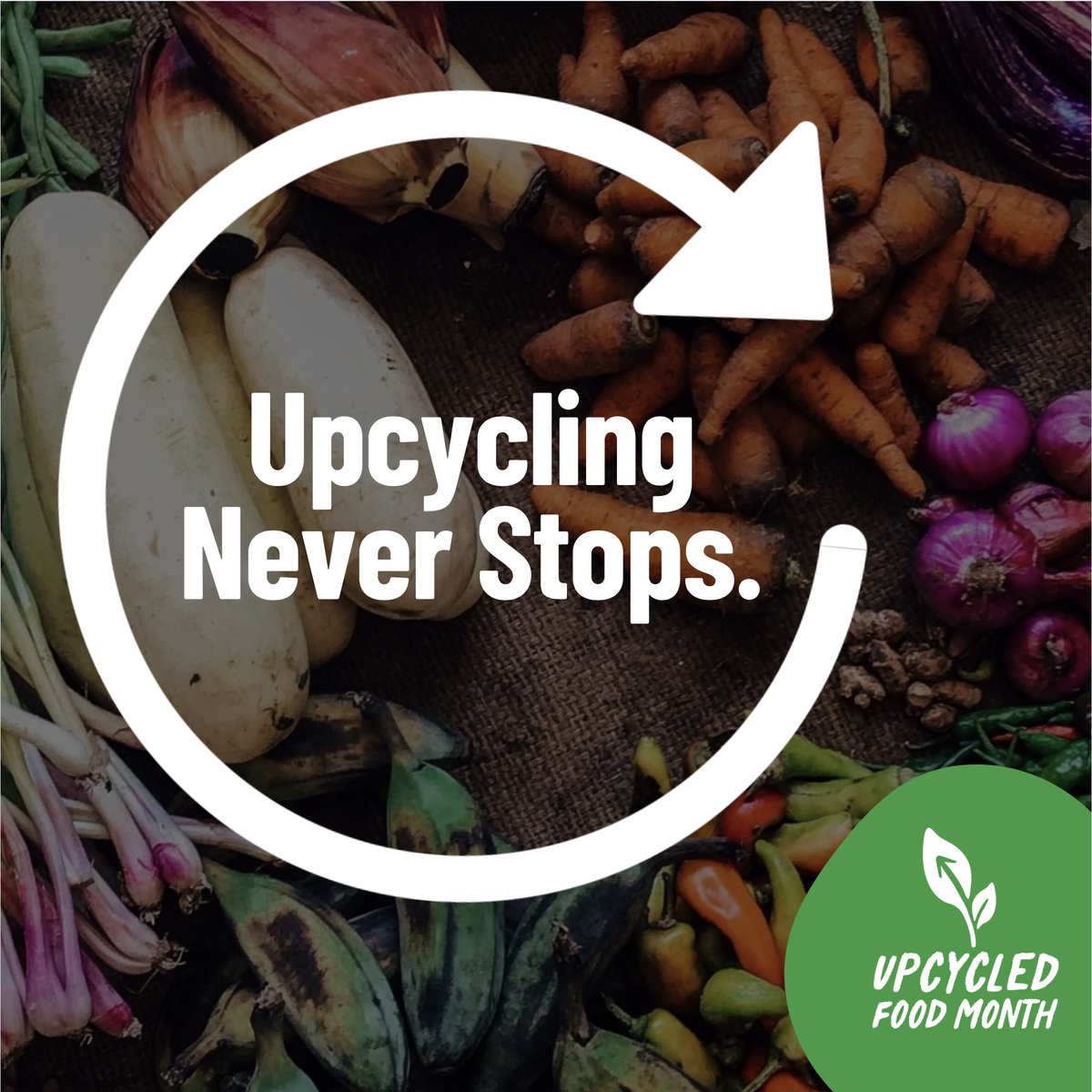 FeedOurFood's tweet photo. #UpcycledFoodMonth has officially come to an end, but the #upcycling movement never stops! Want to learn more? 

- Get in touch: https://t.co/5Uf0Qkqc6N 
- Resource library: https://t.co/qhTpp8wr3B  
- Follow @UpcycledFood https://t.co/NzsKuXAt9S