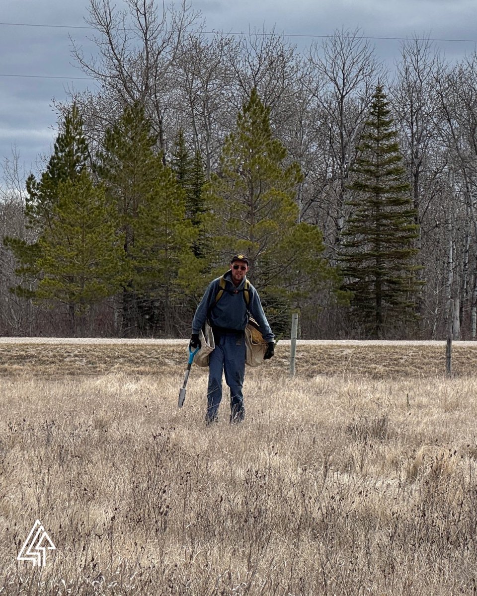 Forests Canada tweet media