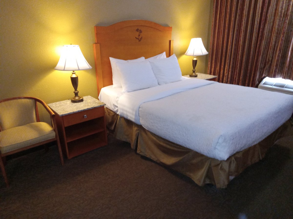 JOHNBROUMAS's tweet photo. Richmond BC Tuesday June 30 2026 my Queen 👑 Hotel room today. FIFA World Cup Soccer today France vs Sweden. ⚽🏟️
Central Mall Walmart shopping today. McDonalds Mcdouble combo for lunch and chocolate Sundae. Cheese Burger, Cola , 2 Chocolate Bars for dinner. 🙂🍳🥯🧁🧃🍔🍟🥤🍨 https://t.co/d2Jq2WCTld