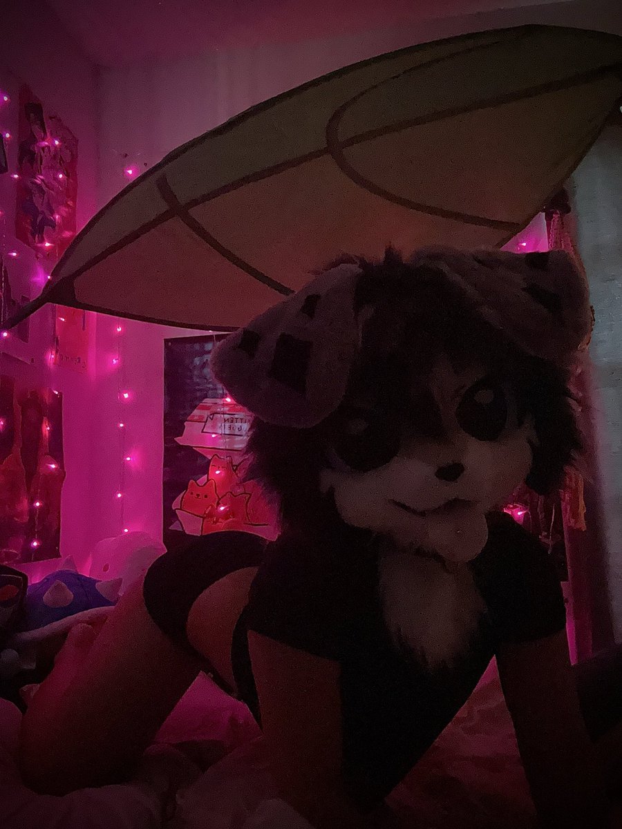 fizzyroni's tweet photo. here we go :3 i’m getting a ring light soon and i’ll be getting help from friends for better photos~ stay tuned cuties 🩵✨ this is only the beginning :) https://t.co/iDNlhHK1rq
