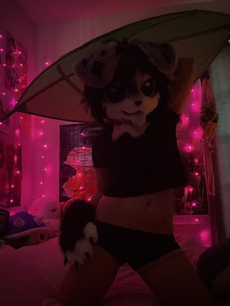 fizzyroni's tweet photo. here we go :3 i’m getting a ring light soon and i’ll be getting help from friends for better photos~ stay tuned cuties 🩵✨ this is only the beginning :) https://t.co/iDNlhHK1rq
