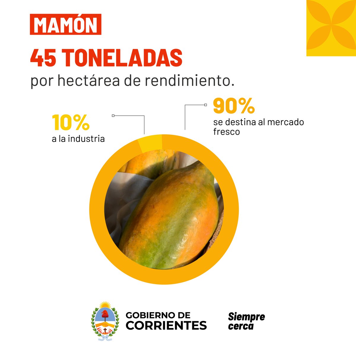 CorrientesGob's tweet photo. Sumando al mamón, el cual se utiliza para abastecer tanto al mercado interno como a las industrias, tenemos como resultado una provincia de #Corrientes líder en producción y tratamiento de dos frutos de alta cotización en todo el país.

#SiempreCerca de los que producen. https://t.co/XZILWuYkEZ