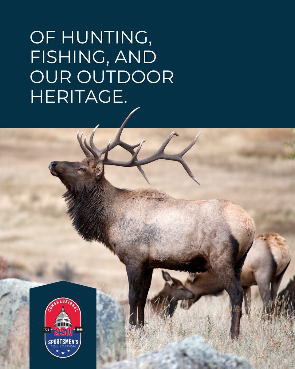 HunterandAngler's tweet photo. For 250 years, hunting and fishing have been woven into the fabric of America, shaping our freedoms, funding conservation, and connecting generations.🎣🦌 

Now it’s our turn to protect that legacy. 

Join the movement: https://t.co/YoXYbKvM8Y

#HuntFish250 #Conservation https://t.co/SvCsP08iOj