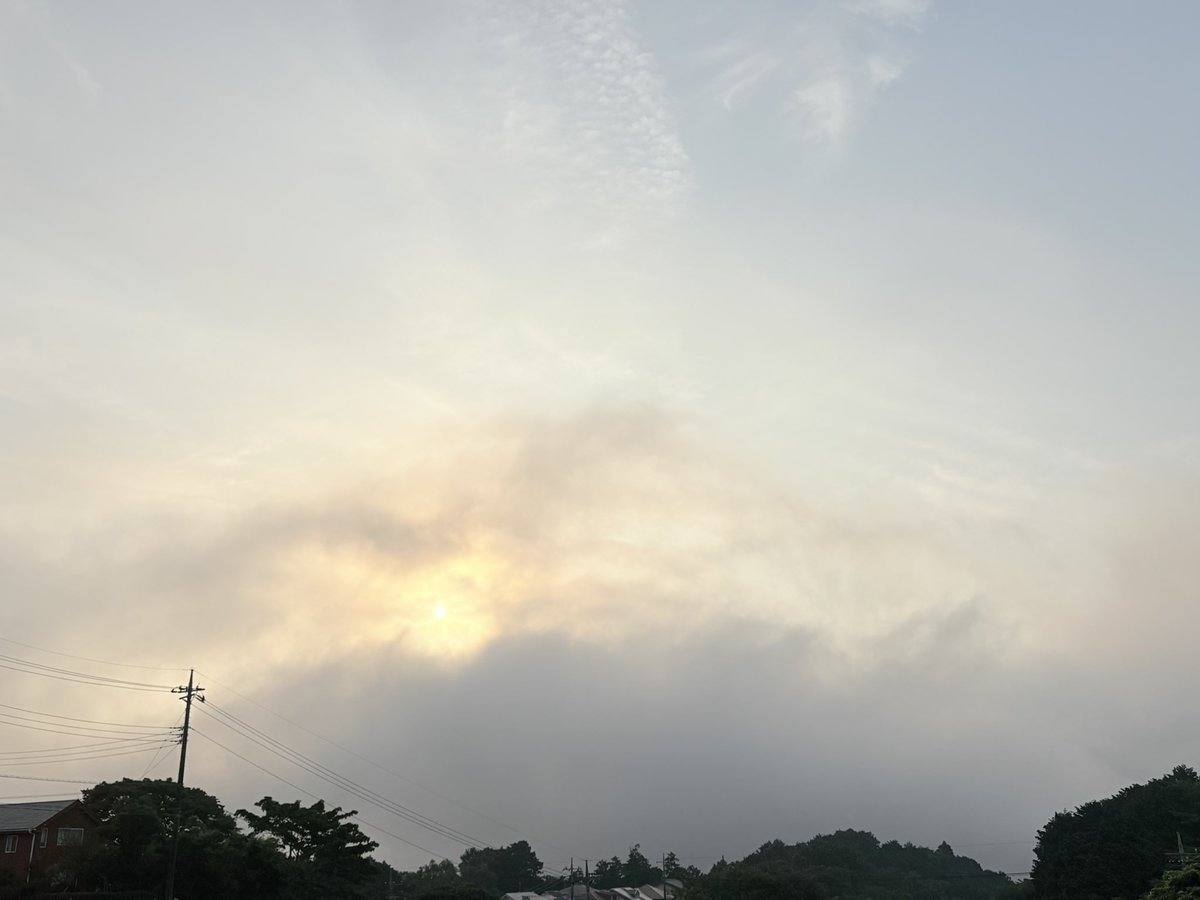 hobogensan's tweet photo. おはようございます。

空も富士山も霞んでいるけど、
空気はひんやり気持ちいい朝です。

庭ではヒオウギズイセンが咲いてます。今年は名前を覚えてたなと思いつつ確認したら、ヒオウギとヒメヒオウギとあってややこしい。
まあ、どっちでもいいかな？

そんな事で時間を使いつつ、fightな1日を！ https://t.co/396IK9XdK6