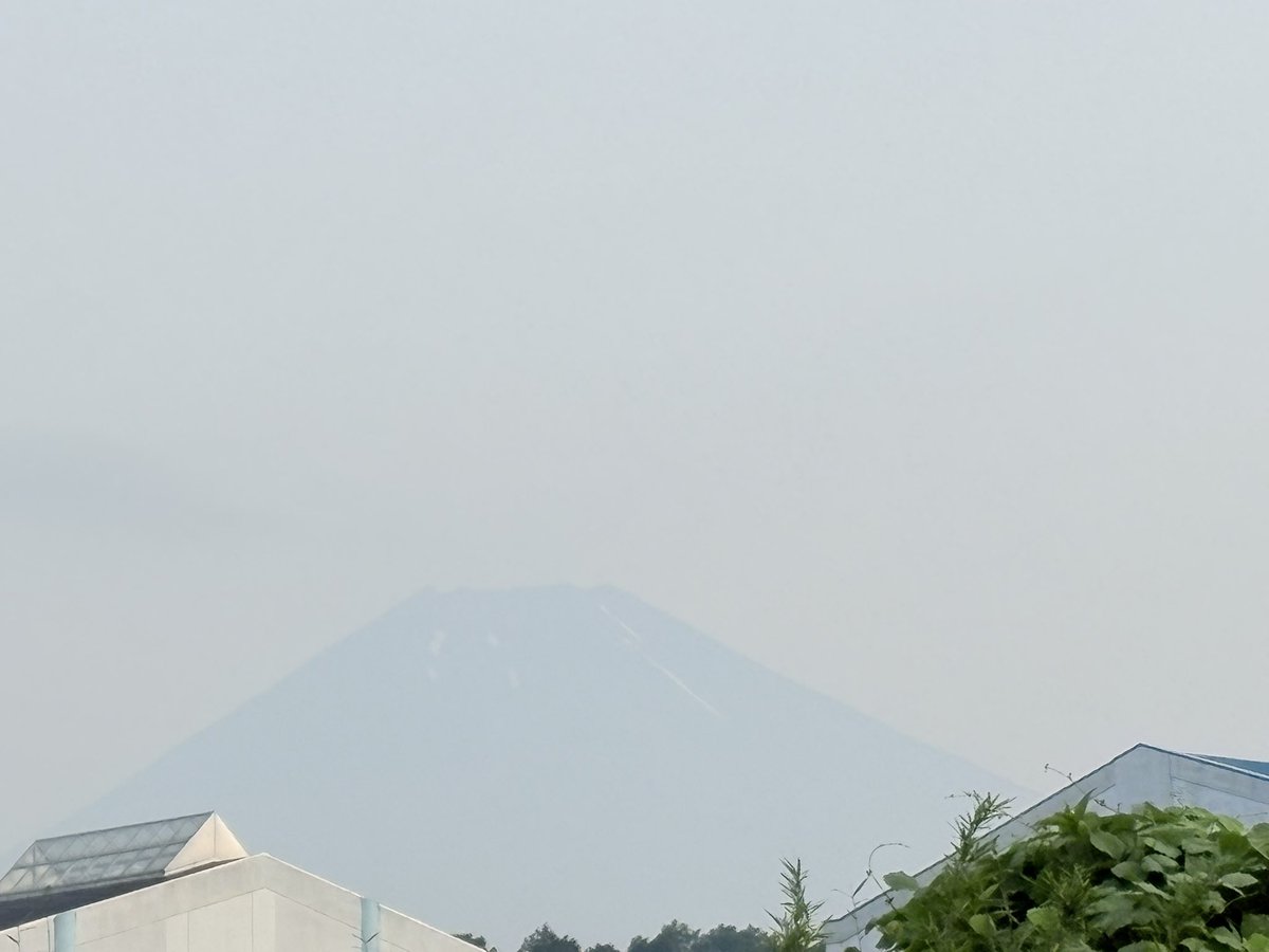 hobogensan's tweet photo. おはようございます。

空も富士山も霞んでいるけど、
空気はひんやり気持ちいい朝です。

庭ではヒオウギズイセンが咲いてます。今年は名前を覚えてたなと思いつつ確認したら、ヒオウギとヒメヒオウギとあってややこしい。
まあ、どっちでもいいかな？

そんな事で時間を使いつつ、fightな1日を！ https://t.co/396IK9XdK6