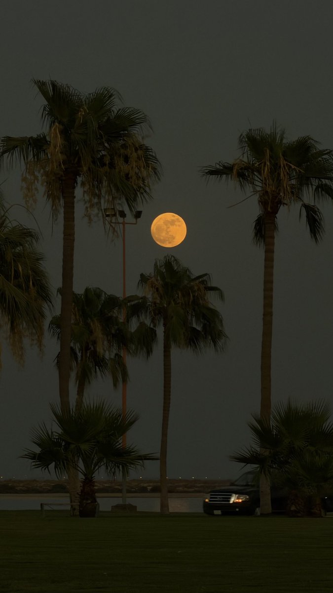 dmh_220's tweet photo. 🤍قمرا الغروب🤍 https://t.co/yH0buhjqBu