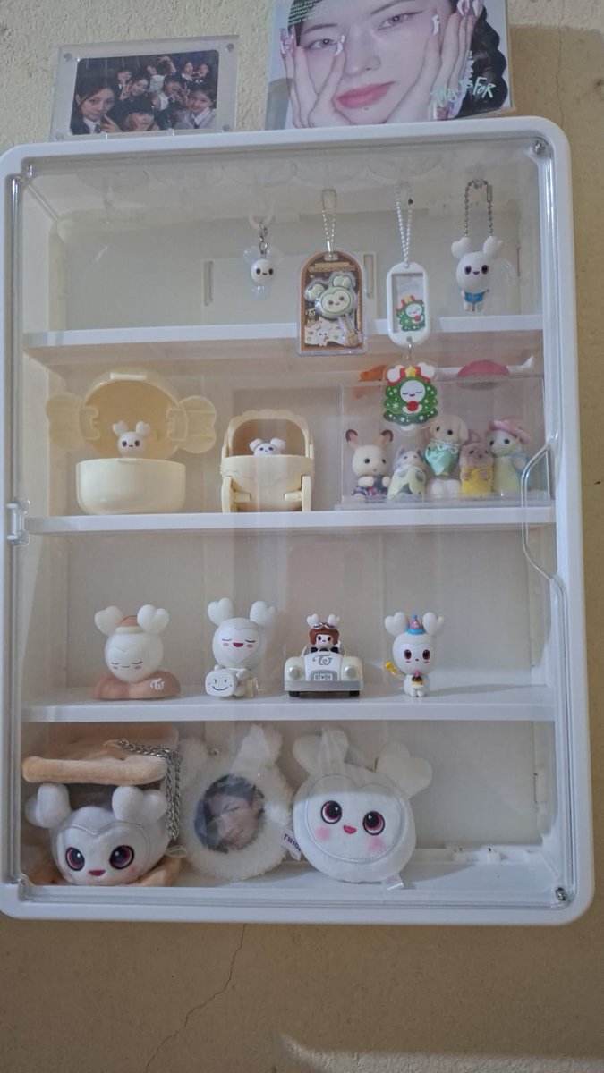 CollectorDubu's tweet photo. S2 babys https://t.co/hugRafPEPW