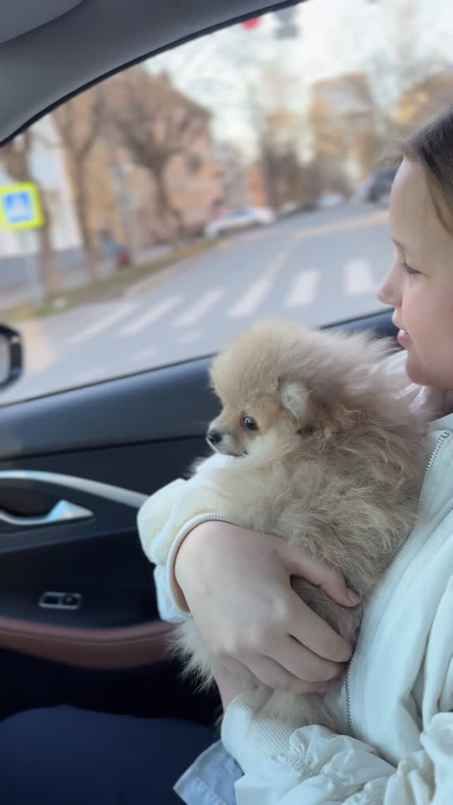 dariishaa's tweet photo. ЧЕЛОВЕК ПЕРЕСТАЁТ ИГРАТЬ НЕ 
ПОТОМУ ЧТО ВЗРОСЛЕЕТ…. А он взрослеет, потому что перестает играть … @horridrealmftl 💯 https://t.co/yA6uzqckJq