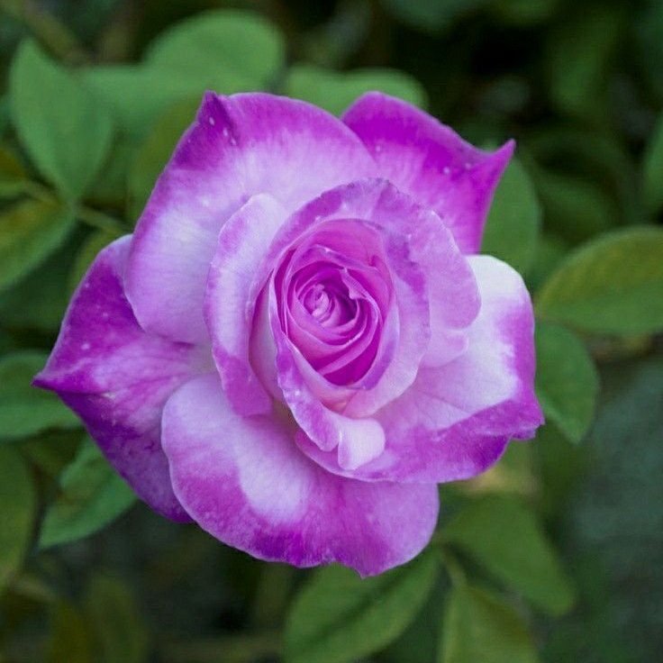 orhandemircii2's tweet photo. https://t.co/CN6VXUUpWy