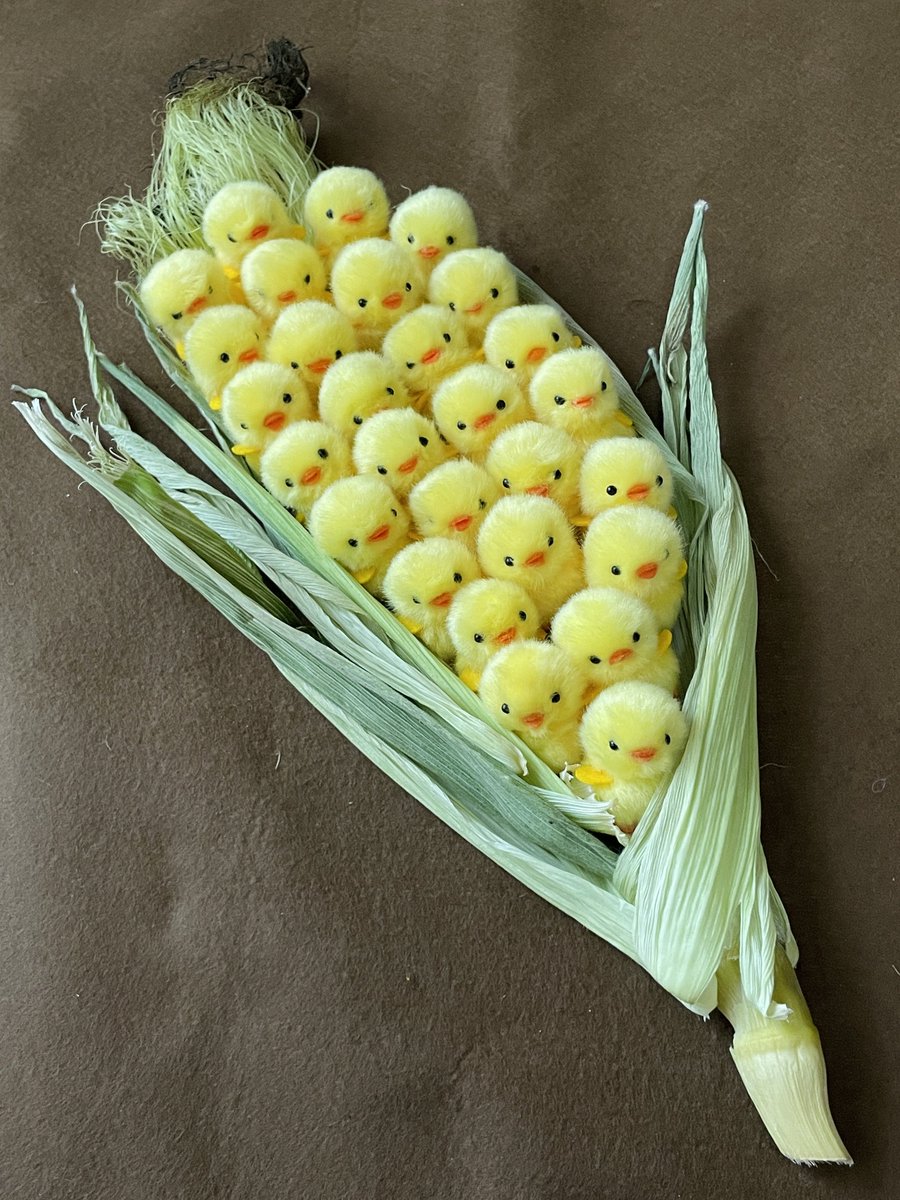 hatena7171's tweet photo. とうもろこしひよこ！焼かないでね https://t.co/lrZASMiK1a